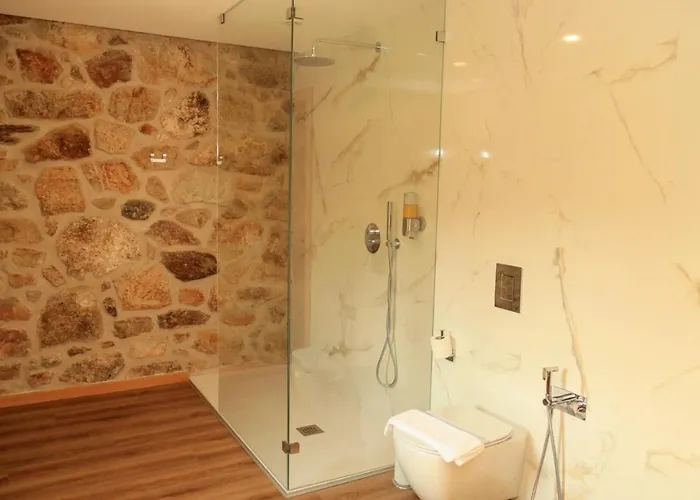 Casa Da Belina : Casa De Ferias Com Piscina, Labruja,